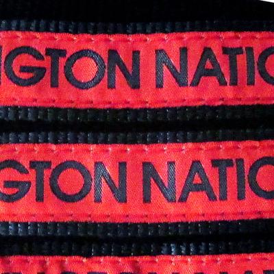 Show full view: Pets First MLB Nylon Dog Leash, Washington Nationals, Large: 6-ft long, 1-in wide slide 3 of 7