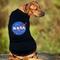 Show in main carousel: Pets First Nasa Nasa Logo Dog & Cat Tee, X-Small slide 5 of 7