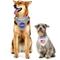 Show in main carousel: Pets First Nasa Nasa Reflective Reversible Dog & Cat Bandana, Small/Medium slide 6 of 6