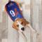 Show in main carousel: Pets First NBA 76Ers Dog & Cat Puffer Vest, Medium slide 5 of 6