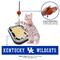 Show in main carousel: Pets First NBA Basketball Court Cat Scratcher Toy with Catnip, Kentucky slide 3 of 6