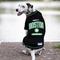 Show in main carousel: Pets First NBA Boston Celtics Dog & Cat Tee Shirt, Large slide 4 of 6