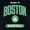 Show in main carousel: Pets First NBA Boston Celtics Dog & Cat Tee Shirt, X-Large slide 2 of 6