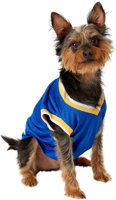 Show full view: Pets First NBA Dog & Cat Mesh Jersey, Golden State Warriors, Medium slide 4 of 9