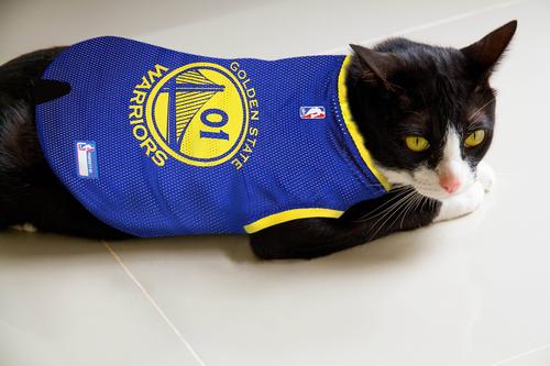 Show full view: Pets First NBA Dog & Cat Mesh Jersey, Golden State Warriors, Small slide 6 of 10