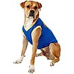 Show in main carousel: Pets First NBA Dog & Cat Mesh Jersey, Golden State Warriors, X-Large slide 4 of 9