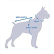 Show in main carousel: Pets First NBA Dog & Cat Mesh Jersey, Golden State Warriors, X-Large slide 7 of 9