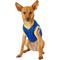Show in main carousel: Pets First NBA Dog & Cat Mesh Jersey, Golden State Warriors, X-Small slide 4 of 10
