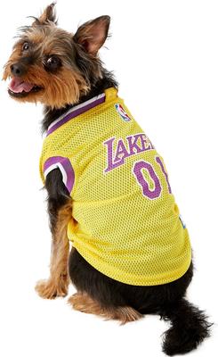 Show full view: Pets First NBA Dog & Cat Mesh Jersey, Los Angeles Lakers, Medium slide 6 of 10