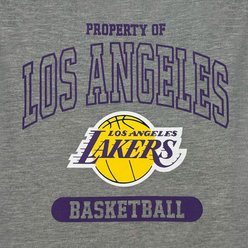 Pets First NBA La Lakers Dog & Cat Tee Shirt, Small slide 2 of 5