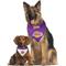 Show in main carousel: Pets First NBA La Lakers Reversible Dog & Cat Bandana, XX-Large slide 5 of 5