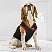 Show in main carousel: Pets First NBA Miami Heat Basketball Dog & Cat Mesh Jersey, Small slide 5 of 5