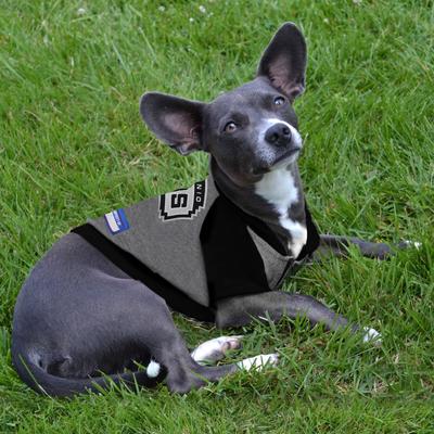 Show full view: Pets First NBA San Antonio Spurs Dog & Cat Hoodie Tee Shirt, X-Small slide 4 of 5