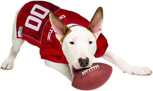 Show full view: Pets First NCAA Alabama Crimson Tide Dog & Cat Jersey, Large slide 4 of 9