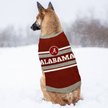 Show in main carousel: Pets First NCAA Alabama Dog & Cat Sweater, Medium slide 5 of 6