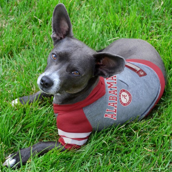 Show full view: Pets First NCAA Alabama Hoodie Dog & Cat Tee Shirt, Large slide 2 of 6