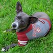 Show in main carousel: Pets First NCAA Alabama Hoodie Dog & Cat Tee Shirt, Large slide 2 of 6