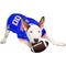 Show in main carousel: Pets First NCAA Dog & Cat Jersey, Florida Gators, Large slide 5 of 10