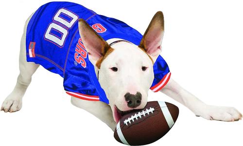 Show full view: Pets First NCAA Dog & Cat Jersey, Florida Gators, X-Large slide 5 of 10