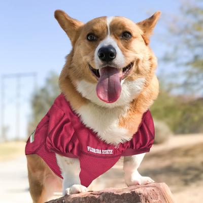 Show full view: Pets First NCAA Dog & Cat Jersey, Florida State, Large slide 4 of 7
