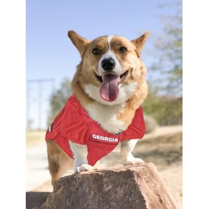 Pets First NCAA Dog & Cat Mesh Jersey, Georgia Bulldogs, XX-Large