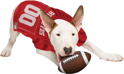 Show full view: Pets First NCAA Dog & Cat Jersey, Ohio State Buckeyes, Medium slide 5 of 9