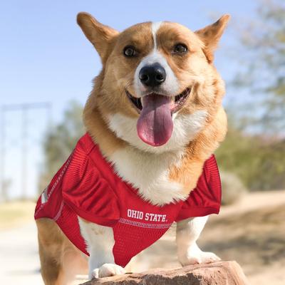 Show full view: Pets First NCAA Dog & Cat Jersey, Ohio State Buckeyes, Small slide 4 of 9