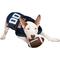 Show in main carousel: Pets First NCAA Dog & Cat Mesh Jersey, Auburn Tigers, Large slide 5 of 9