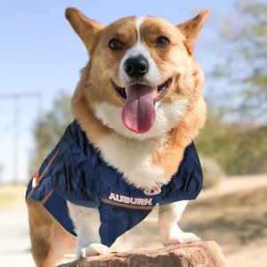 Pets First NCAA Dog & Cat Mesh Jersey, Auburn Tigers, Medium
