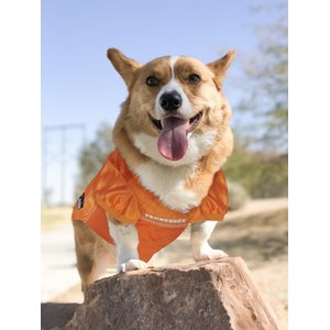 Pets First NCAA Dog & Cat Mesh Jersey, Tennessee Volunteers, Medium