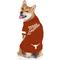 Show in main carousel: Pets First NCAA Dog & Cat Stripe T-Shirt, Texas Longhorns, Large slide 3 of 6