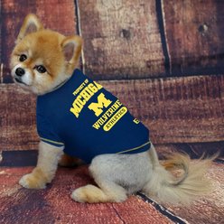 Pets First NCAA Dog & Cat T-Shirt, Michigan Wolverines, Small slide 2 of 4