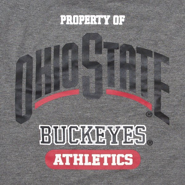 Show full view: Pets First NCAA Dog & Cat T-Shirt, Ohio State Buckeyes, Large slide 4 of 6