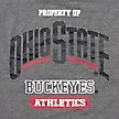 Show in main carousel: Pets First NCAA Dog & Cat T-Shirt, Ohio State Buckeyes, Large slide 4 of 6