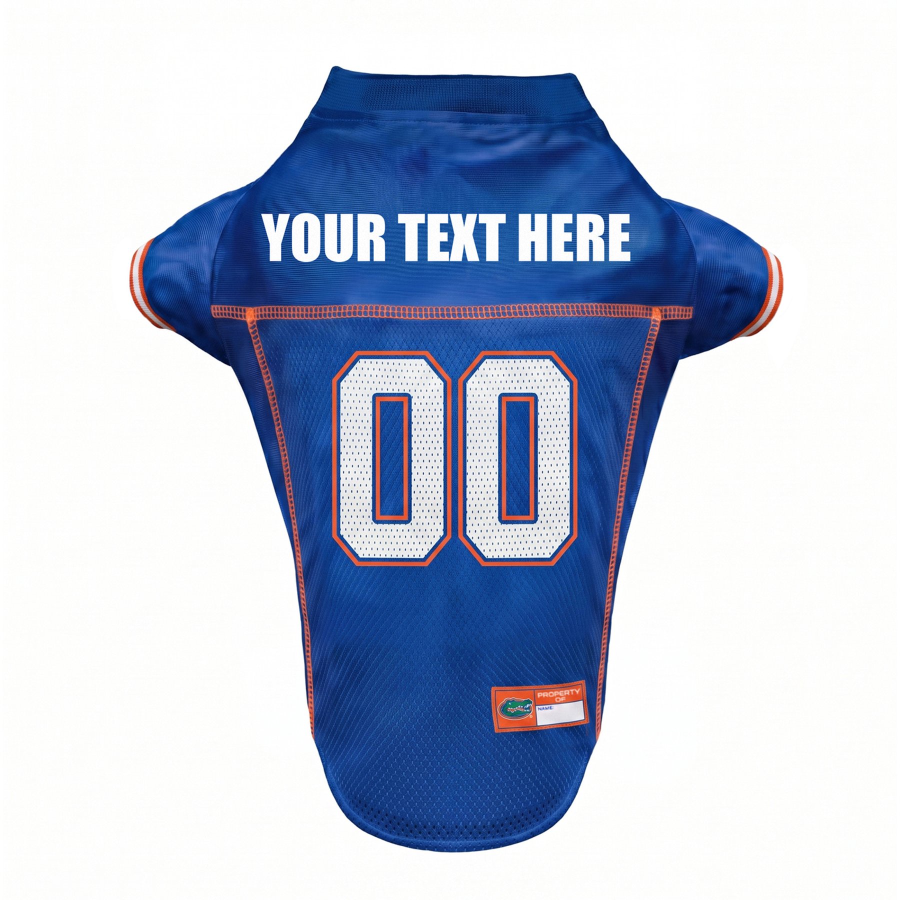 Pets First NCAA Florida Personalized Dog Jersey, Medium