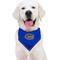 Show in main carousel: Pets First NCAA Florida Tie Around Dog & Cat Bandana, Small/Medium slide 3 of 5