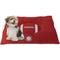 Show in main carousel: Pets First NCAA Football Pillow Dog Bed, Alabama Crimson Tide slide 6 of 8
