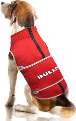 Show full view: Pets First NCAA Georgia Dog & Cat Soothing Solution Vest, Small slide 4 of 5