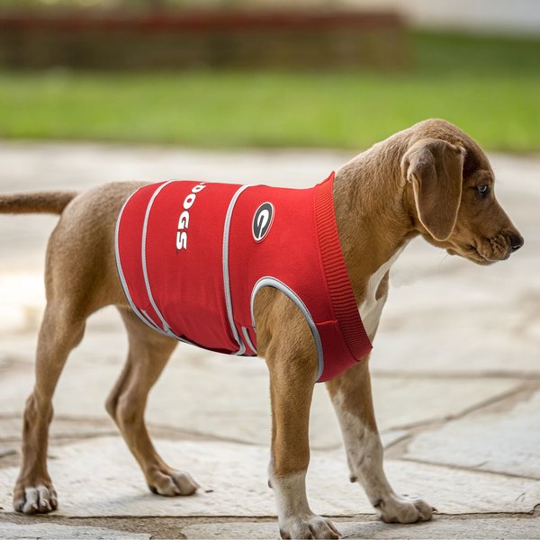 Show full view: Pets First NCAA Georgia Dog & Cat Soothing Solution Vest, X-Small slide 4 of 5