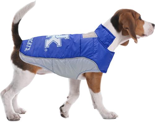 Show full view: Pets First NCAA Kentucky Dog & Cat Puffer Vest, Small slide 6 of 6