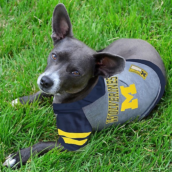 Show full view: Pets First NCAA Michigan Hoodie Dog & Cat Tee Shirt, Large slide 3 of 5