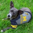 Show in main carousel: Pets First NCAA Michigan Hoodie Dog & Cat Tee Shirt, Large slide 3 of 5