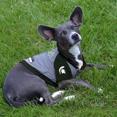 Show full view: Pets First NCAA Michigan State Dog & Cat Hoodie Tee Shirt, Large slide 4 of 6