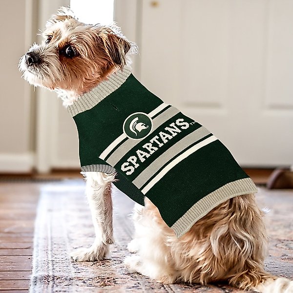 Show full view: Pets First NCAA Michigan State Dog & Cat Sweater, Large slide 4 of 6