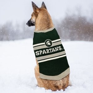 Pets First NCAA Dog & Cat Sweater, Michigan State, Small