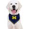 Show in main carousel: Pets First NCAA Michigan Tie Around Dog & Cat Bandana, Large/X-Large slide 3 of 5