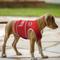 Show in main carousel: Pets First NCAA Ohio State Dog & Cat Soothing Solution Vest, X-Small slide 4 of 5