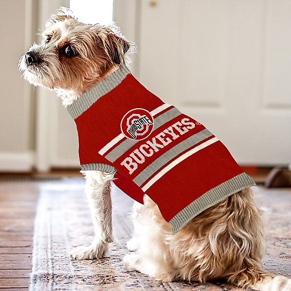 Show full view: Pets First NCAA Ohio State Dog & Cat Sweater, X-Large slide 5 of 5