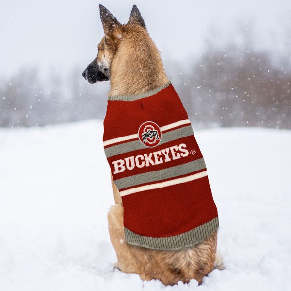 Pets First Collegiate Connecticut Huskies Pet Dog Sweater - Licensed 100% Warm Acrylic Knitted. 44 College Teams, 4 Sizes