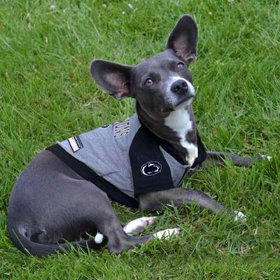 Show full view: Pets First NCAA Penn State Dog & Cat Hoodie Tee Shirt, Medium slide 4 of 5